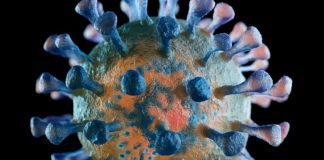 Alentejo regista hoje mais quatro infetados com o novo coronavírus