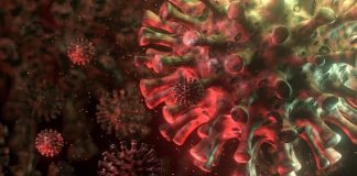 Distrito de Setúbal regista hoje mais 12 infetados