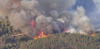 Alentejo 2020 aprova candidatura para proteção contra riscos de incêndios