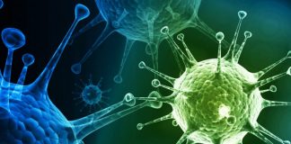 Mais 18 novos casos de infeção no distrito de Setúbal