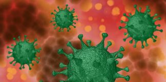 Situação no Alentejo mantém-se inalterada nos 218 infetados