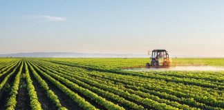 ACOS exige “apoio imediato” para evitar falências na agricultura