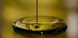 Azeite Virgem Extra dos Irmãos Lince conquista prata em Berlim