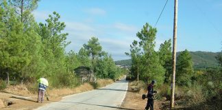 Município de Grândola efetua limpeza das bermas do concelho