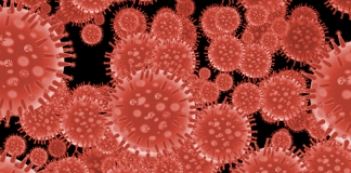 Alentejo mantém os 220 casos positivos do novo coronavírus