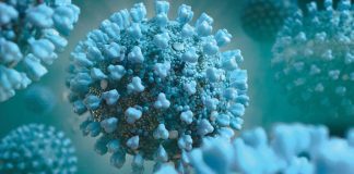 Mais 12 infetados com o novo coronavírus no Alentejo