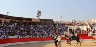 Região tem das maiores assistências a corridas de touros