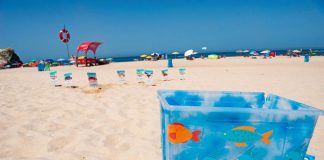 Praias de Sines palco de atividades de sensibilização ambiental
