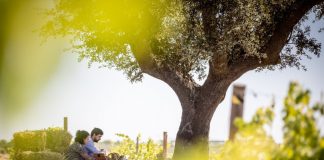 Adega Mayor de regresso às visitas e provas