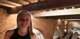 Ana Isabel Alves assume a direção executiva da ACIBEV