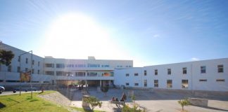 IPS integra consórcio que desenvolve ferramenta digital para avaliar ideias de negócio