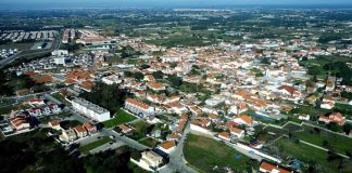 Reconversão de fogos ilegais pode duplicar população da Quinta do Anjo