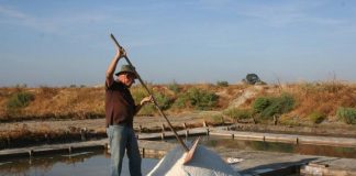 Exposição Sítio das Marinhas reabre reabilitada