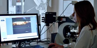 Academia alentejana candidata projetos de investigação a concursos da FCT