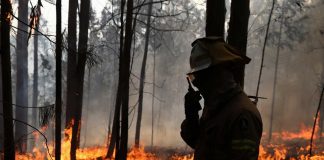 Distrito registou 339 participações por piromania