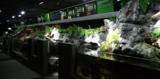 Mora reabre fluviário e espaços museológicos