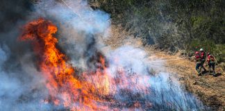 Mais de 160 operacionais e seis meios aéreos no fogo rural em Odemira
