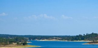 Ponte de Sor lança a campanha “Montargil Segura e Limpa”
