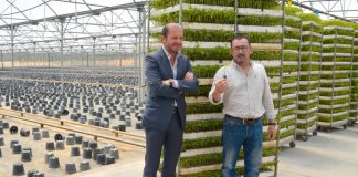 Santiago do Cacém perde milhões por falta de água para rega