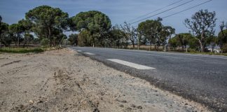 Alcácer do Sal reclama obras urgentes no IC-1 e EN-253