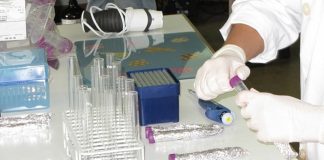 Quatro projetos do CEBAL apoiados pelo Alentejo 2020