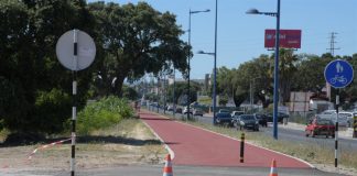 Ciclovia que liga o Montijo ao Pinhal Novo inaugurada em agosto