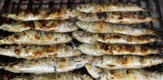 “Festival da Sardinha” em Setúbal