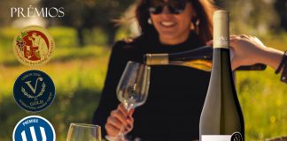 Vidigueira Antão Vaz 2019 soma prémios