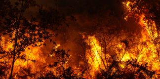 Mais de dois mil hectares ardidos em Castro Verde