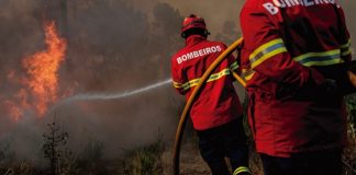 MAI abre inquérito ao fogo de Castro Verde em que 4 bombeiros ficaram feridos