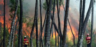 Reativação de incêndio em Marvão mobiliza 145 operacionais e oito meios aéreos