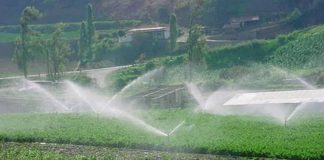 Agricultores de Portalegre podem candidatar-se a apoios ao regadio eficiente até setembro