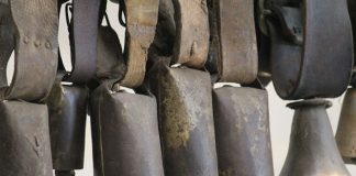 Visitas temáticas no Alentejo vão mostrar saber-fazer tradicional