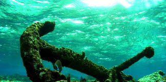 “Um Mergulho na História” quer recuperar património subaquático do Litoral Alentejano