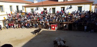 Festas de Barrancos deste ano foram canceladas