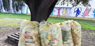 Amarsul enviou para reciclagem 153 toneladas de resíduos recicláveis