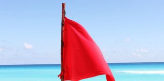 Praia em Santiago do Cacém interditada a banhos devido a baleia morta