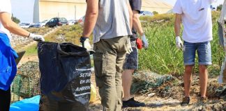 Voluntários preservam ambiente nas freguesias de Setúbal