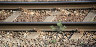 Troço Évora – Évora Norte do Corredor Internacional Sul em concurso