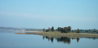 Barragem do Caia, em Elvas, assegura campanha de rega deste ano