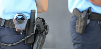 Nove homens detidos por furto de 1.500 quilos de cortiça em Santarém, Évora e Setúbal