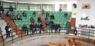 APORMOR contra direção-geral dependente do Ambiente para bem-estar animal