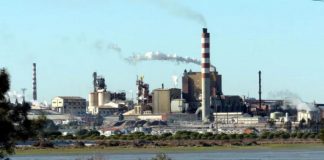 DGS desconhece problemas graves de saúde pública por poluição da Siderurgia Nacional