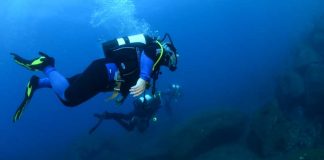 Setúbal vai ter centros de Natação de Águas Abertas e de Atividades Subaquáticas