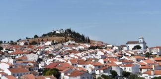 Aljustrel teve a segunda maior taxa de natalidade do país