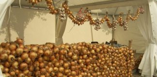 Feira das Cebolas tem lugar a 11 e 12 de setembro, em Portalegre