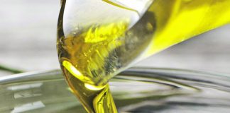 Herdade Maria da Guarda, em Serpa, prevê produção de 1.5 milhões de kg de azeite