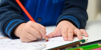 Odemira organiza Encontro Anual de Educação online