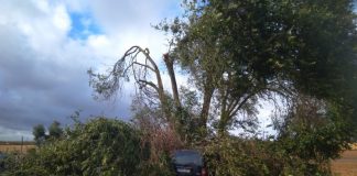 Tornado derruba dezenas de árvores e destrói carros em Beja