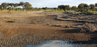 Seca no Baixo Alentejo gera preocupação